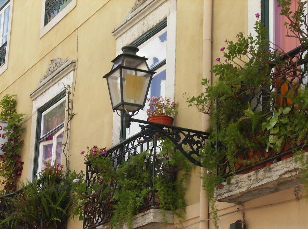 Dias E Dominguez Vandrarhem Lisboa Exteriör bild